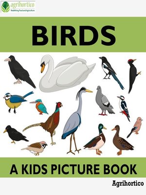 cover image of Birds